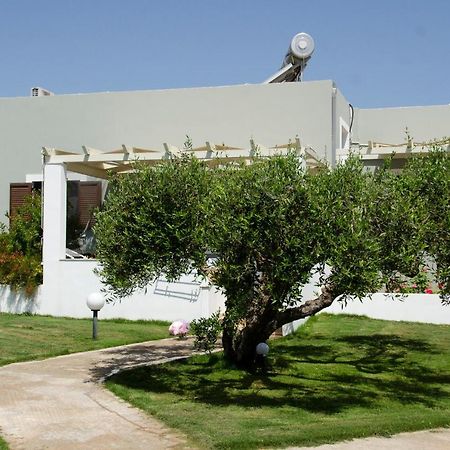 Villa Dimitris Палекастрон Экстерьер фото